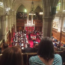 L’AIM assiste à un événement historique au Sénat du Canada