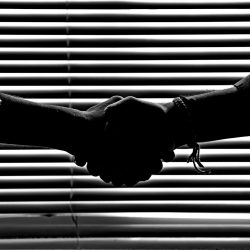 IAM Union: U.S. Tariffs on Canada Hurt Workers in Both Countries, Weaken Alliance in Trade Fight Against China, Others