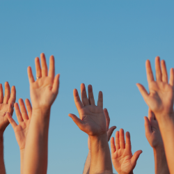 Major Contract Victory for IAM Local 1120 Members at Kal Tire