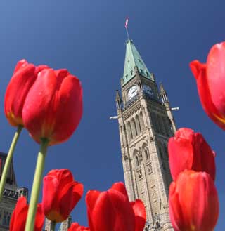 Le syndicat représentant les travailleurs d’Air Canada interpelle les sénateurs au sujet du projet de loi C-10